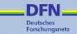 DFN Verein Logo